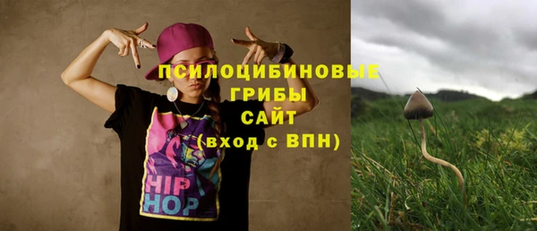 PSILOCYBIN Белокуриха