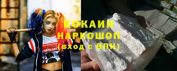PSILOCYBIN Белокуриха