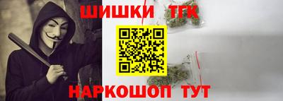 мдпв Гусев