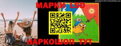 мдпв Гусев