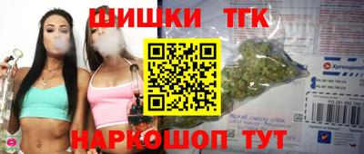 мдпв Гусев