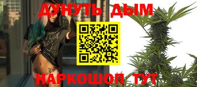 мдпв Гусев