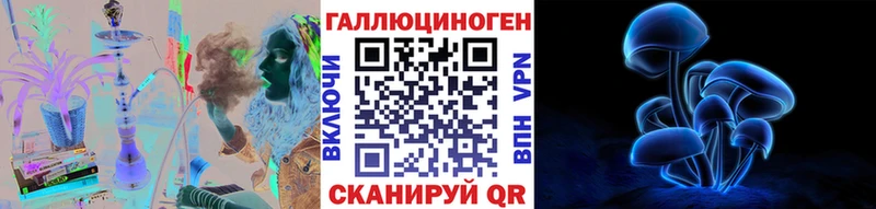 darknet Telegram  Ногинск  Галлюциногенные грибы GOLDEN TEACHER  закладка 