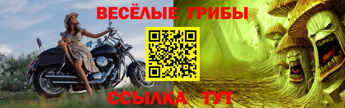 Псилоцибиновые грибы мицелий Ногинск