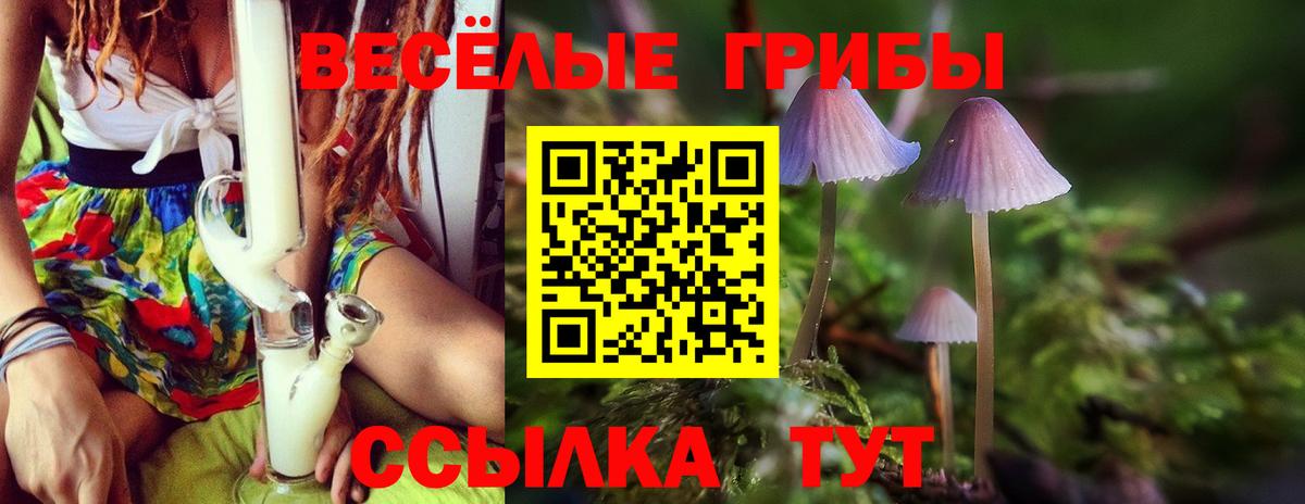 Псилоцибиновые грибы Magic Shrooms  Вход с VPN  Ногинск  Псилоцибиновые грибы мицелий 